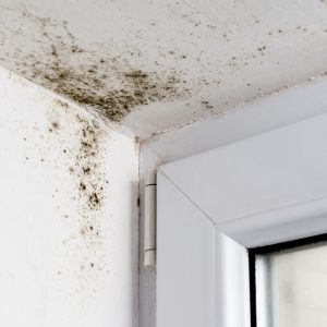 indoor air pollutants