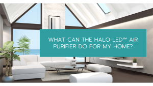 HALO-LED™ Air Purifier
