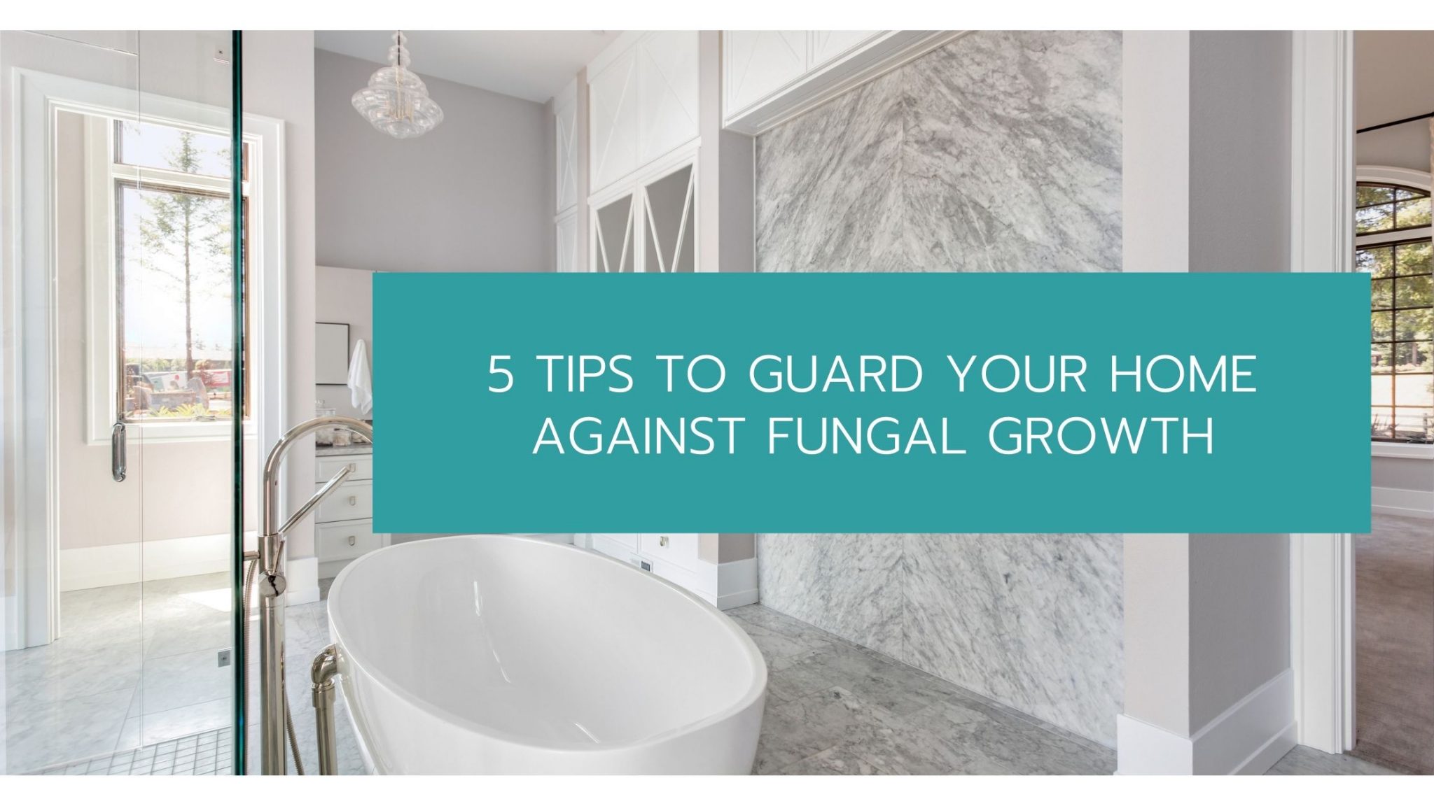 guard your home against fungal growth