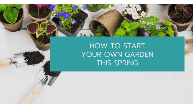 Start Your Own Garden