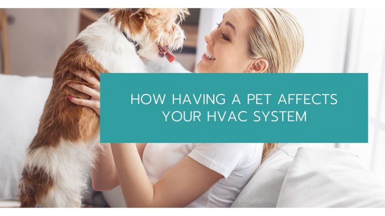 Having A Pet Affects Your HVAC System